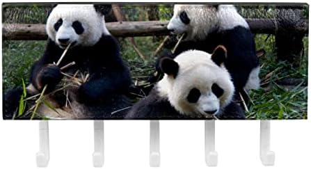 GUEROTKR Duvar Kancaları, Asma Kancaları, Asmak için Yapışkan Kancalar, Orman Hayvanları Panda Deseni