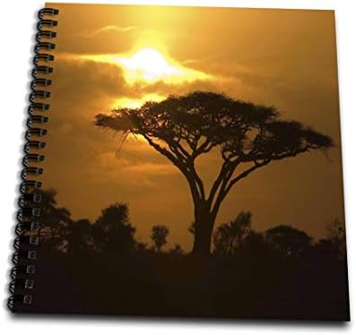 3dRose db_173294_2 Günbatımında Afrika Ovalarında Diken Akasya Şemsiye Ağacı Tropikal Gece Sahnesi - Anı Defteri, 12'ye 12
