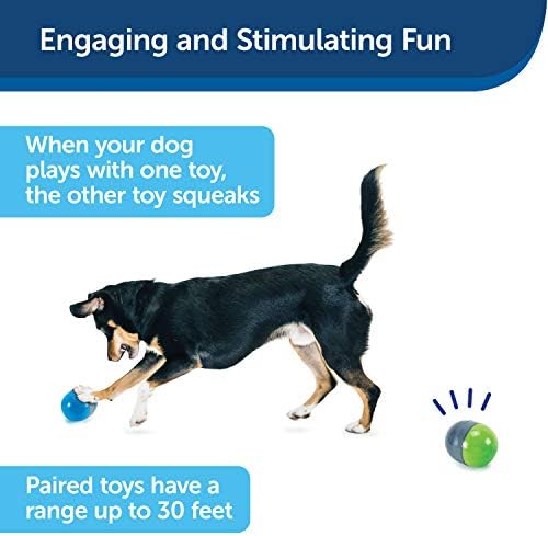 PetSafe Ricochet - Elektronik Gıcırdayan Köpek Oyuncağı-Köpekleri Meşgul Etmek için 2 Çift Oyuncak Gıcırdıyor-Sıkılmış, Endişeli