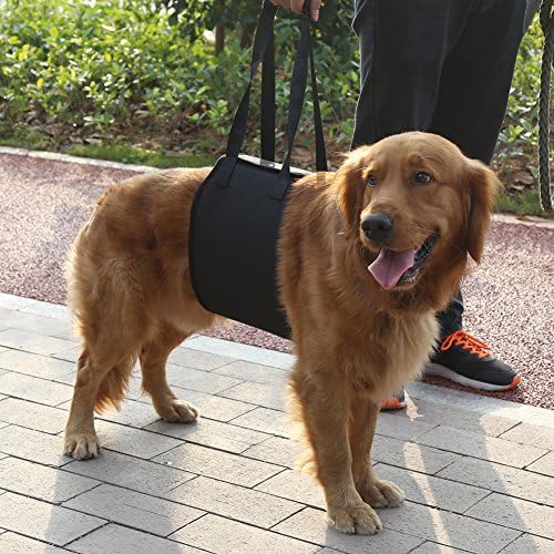 Sling Köpek Asansör Destek, köpek Yardım Yardımcı Rehabilitasyon Koşum Yardımcı Kemer Kolu ile Yaşlı ve Hasta için Pet (S)