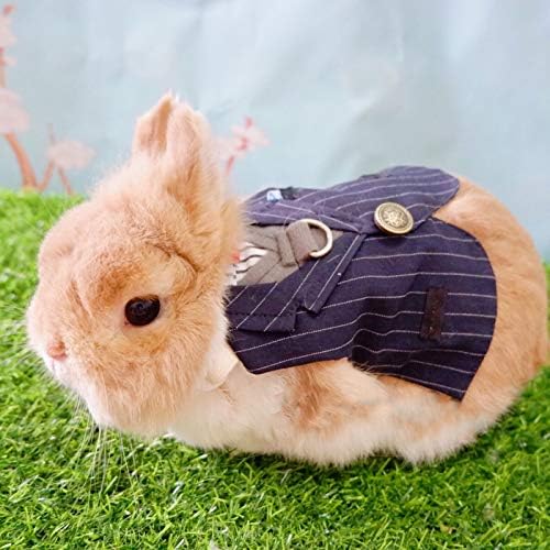 Tavşan Giysileri Çizgili resmi kıyafet Koşum Düğmesi Dekor Ayarlanabilir Yelek Cadılar Bayramı Cosplay Düğün Parti Tatil