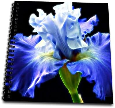 3dRose zarif görüntü ışık infüzyon mavi çiçek Bloom boyama-çizim kitapları (db-365072-2)
