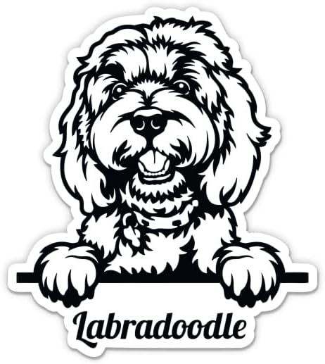 Labradoodle Sticker-3 laptop etiketi - Araba, Telefon, Su Şişesi için Su Geçirmez Vinil-Labradoodle Köpek Çıkartması