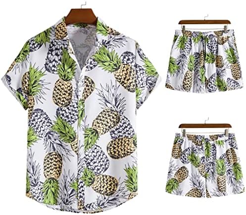 WPYYI erkek Moda Gevşek Büyük Boy Hawaii Plaj Gömlek şort takımı (Renk: D, Boyut: xxlkod)