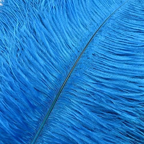 15-70CM Yumuşak Tüyler Devekuşu Tüyleri Göl Mavi Büyük Devekuşu Tüyü El Sanatları DIY Otel Ev Düğün Plumas Dekorasyon-100